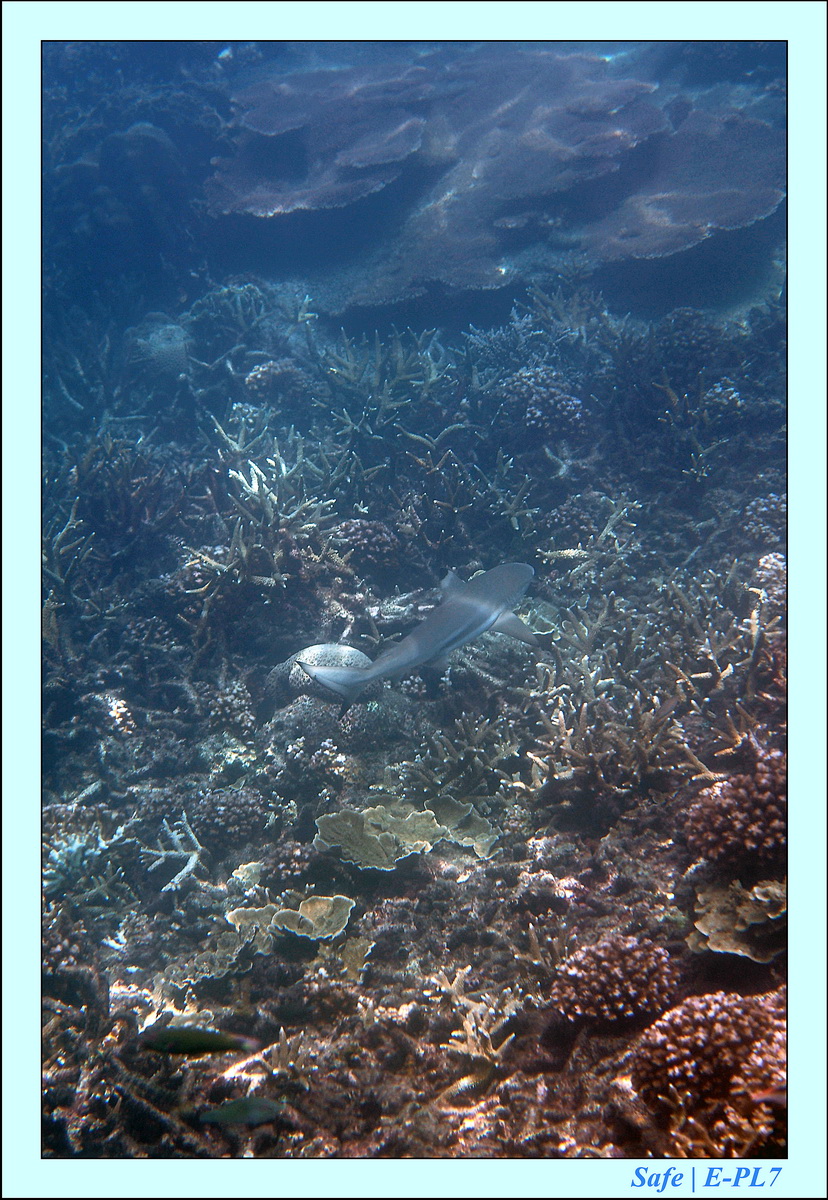 2015   07   Peranthian Islands 55